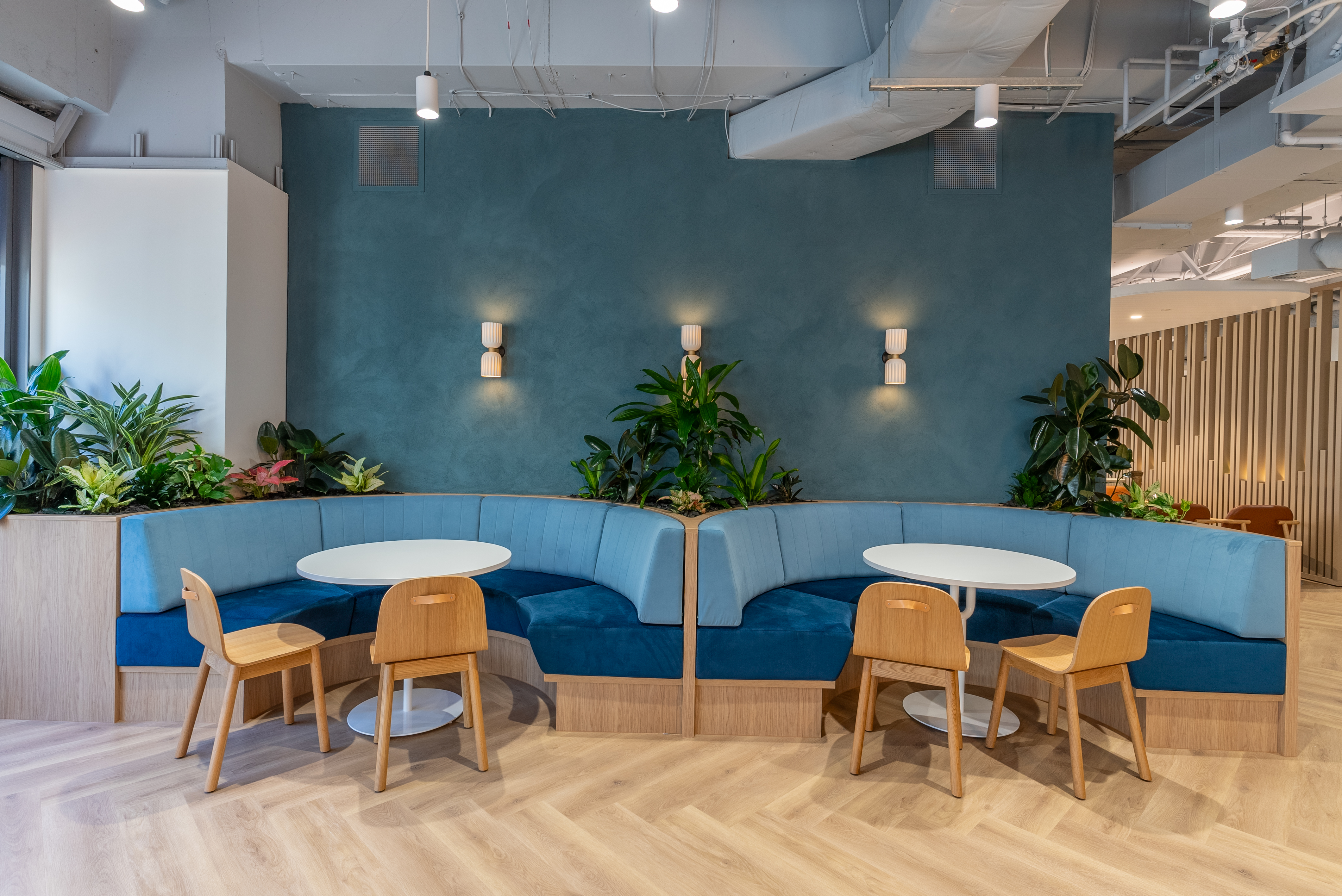 One O_Connel (56 of 112).jpg