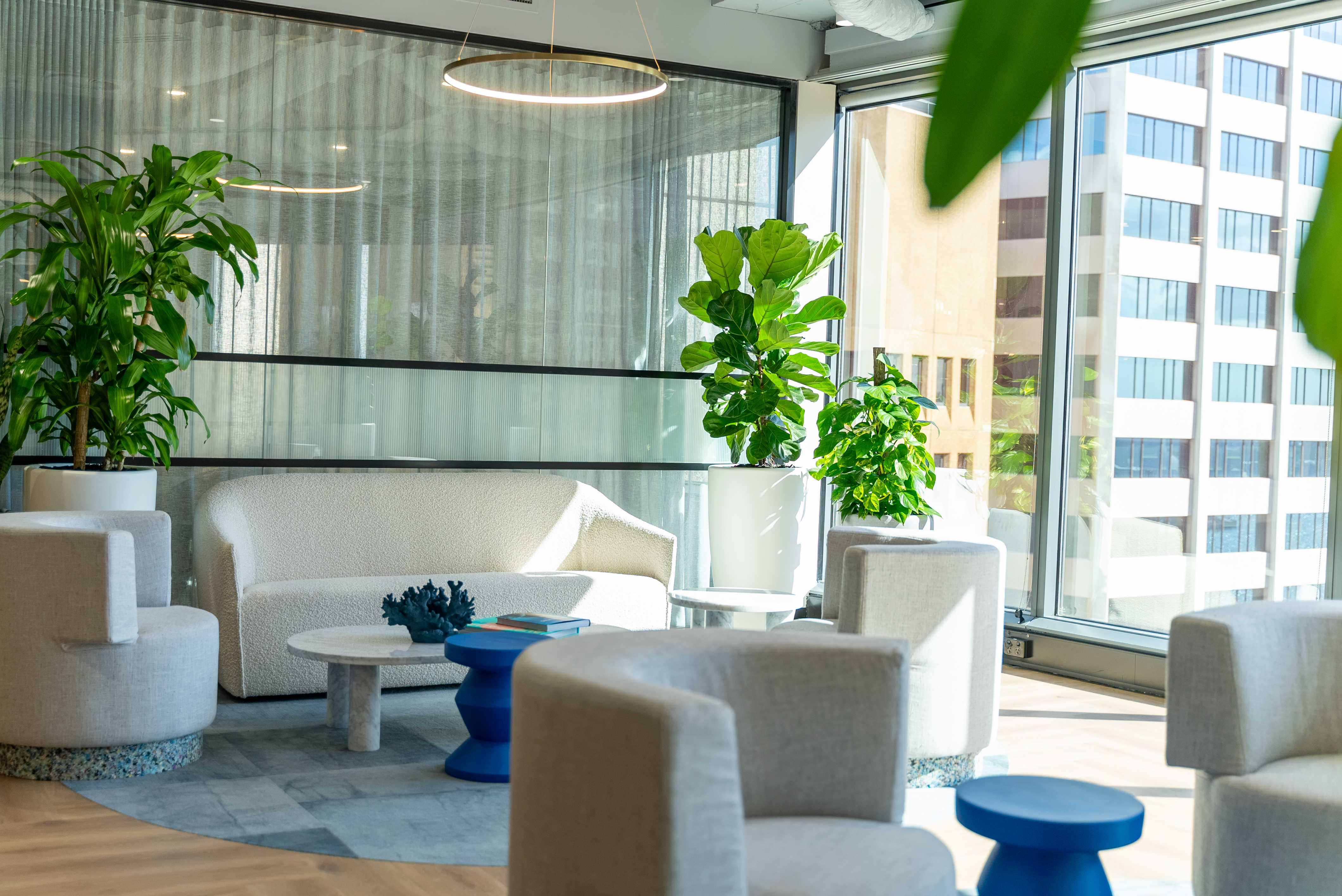 One O_Connel (79 of 112).jpg